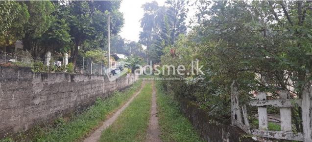 40 Perch Land for sale in Matale, 9 Lakh/Perch, Negotiable