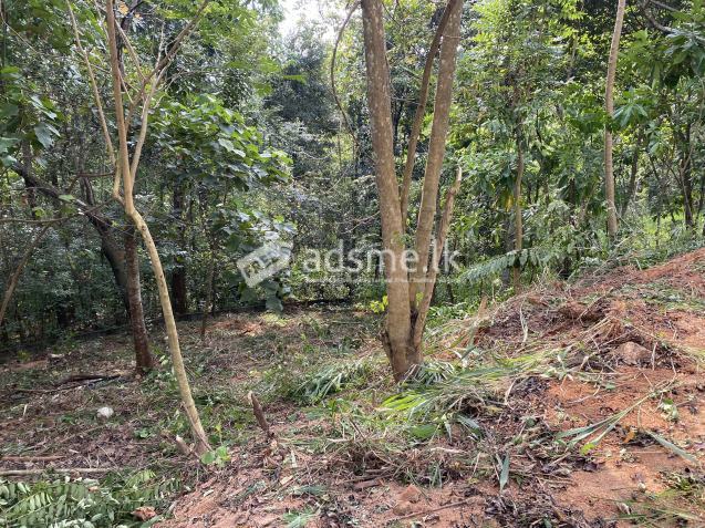 Land for sale in Pahala Kadugannawa