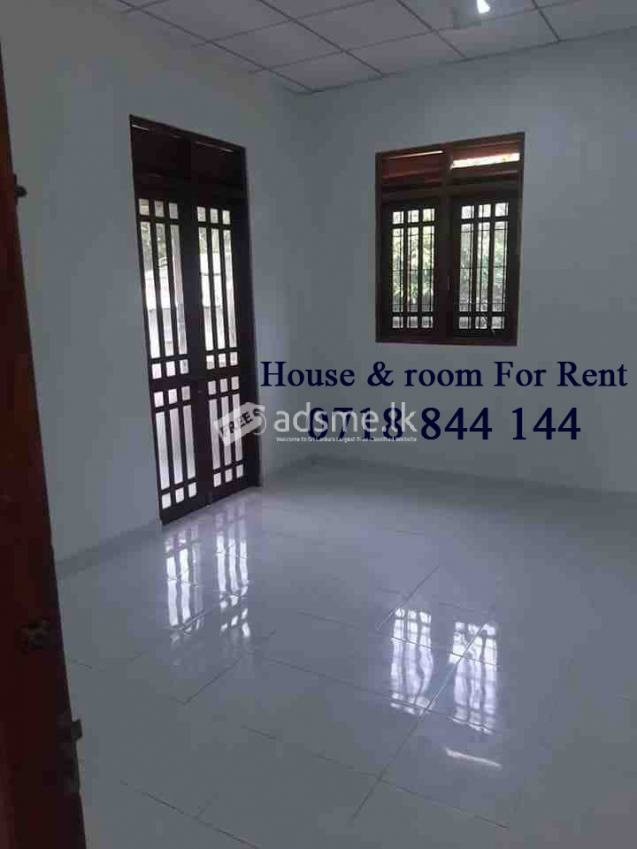 Rooms & Annex for rent