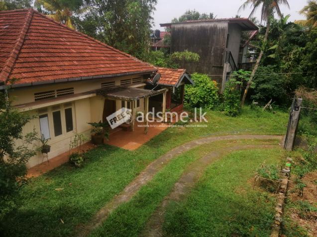Nice Large land with large old house