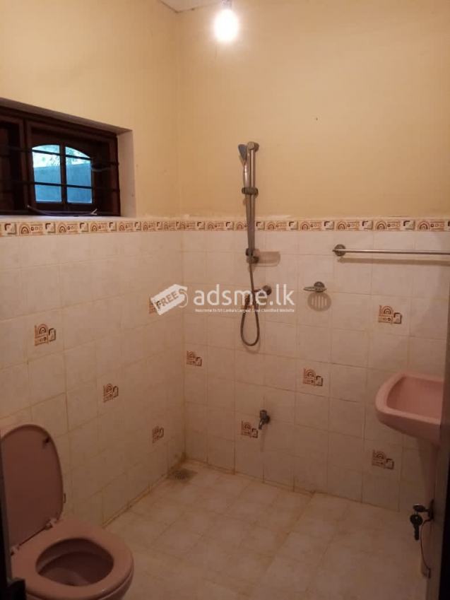 House for rent