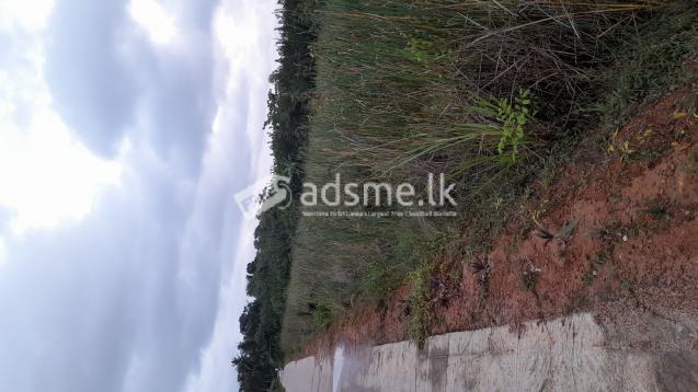 Lands for Sale in Matara Town