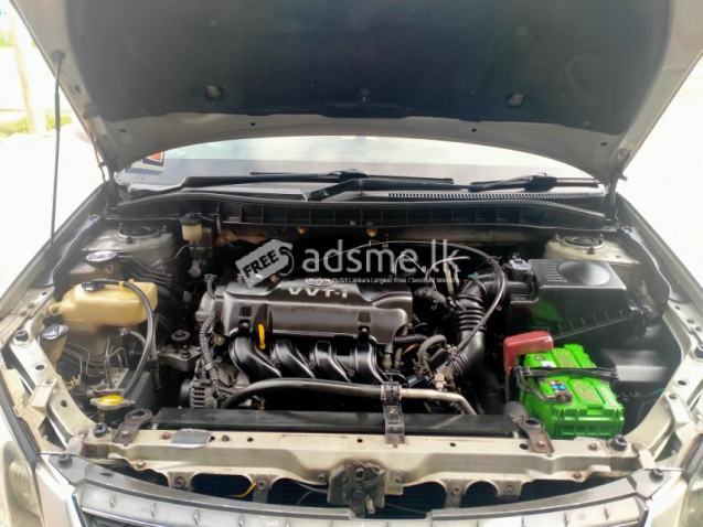 Toyota Premio 2003 (Used)