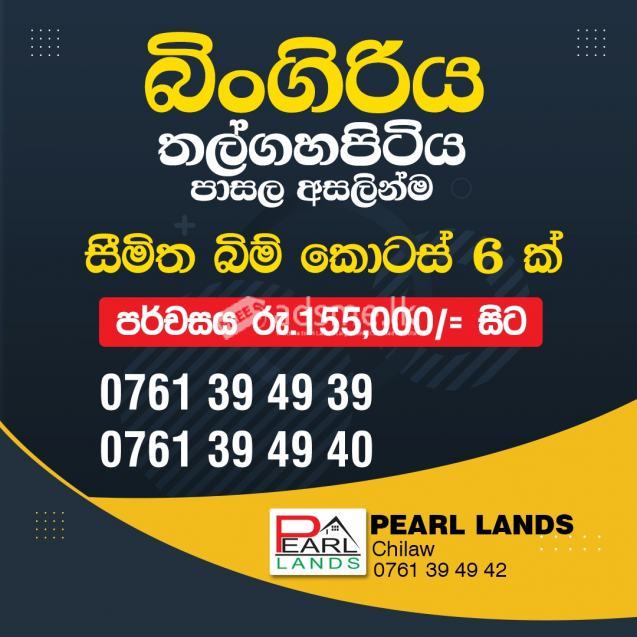 බිංගිරියෙන් බිම් කොටස්