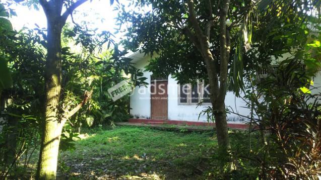 For sale Land with house