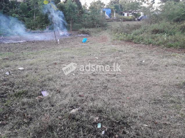 Land for sale in Malabe