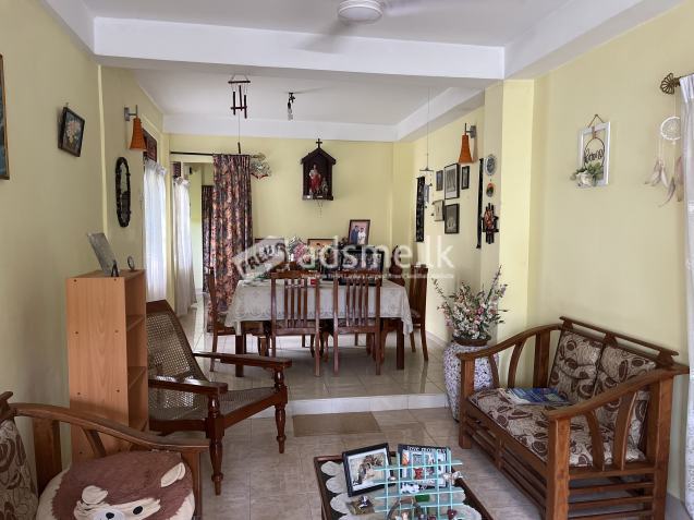 Furnished House For Rent In Dehiwala