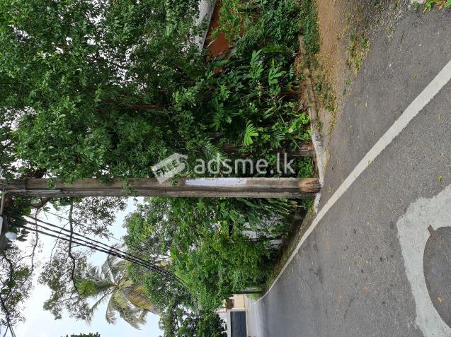 land for sale in Dehiwala