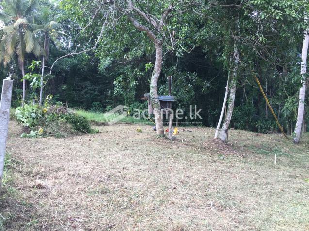 Land for sale in Dewalapola