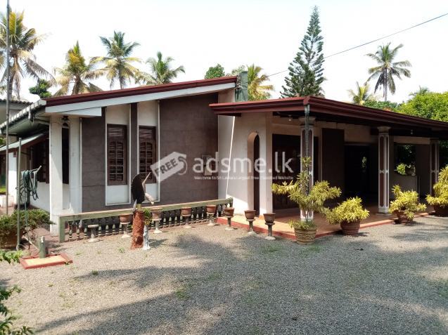 Land with House for Sale Facing Colombo-Kurunegala Main Road (Rute No 5) Close to Ekala Air Force Camp