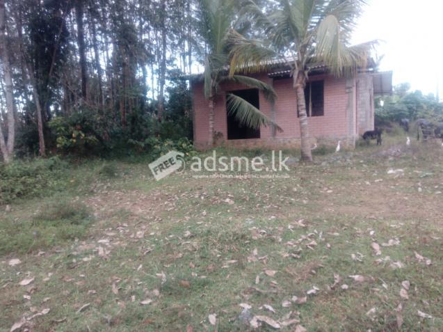 Land for Sale in Moragahahena, Horana