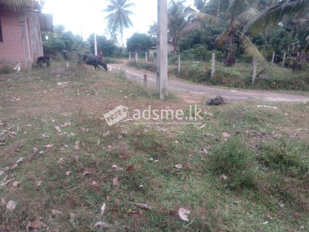 Land for Sale in Moragahahena, Horana
