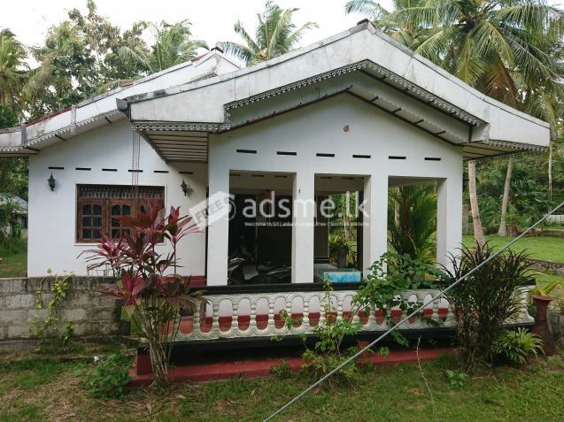 House & Land