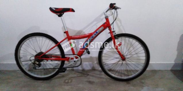 Japanese Mountain Bicycle