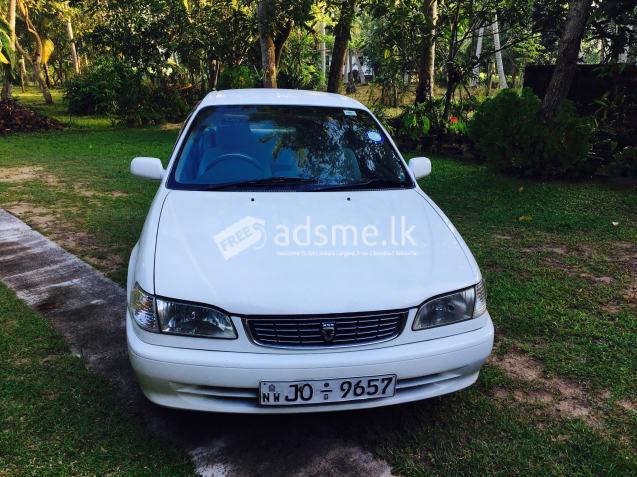 Car for rent