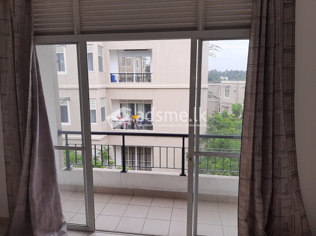 Apartment for Rent MOUNT CLIFFORD RANGE, HOMA