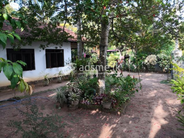 Land with House Sale in Sandalankawa