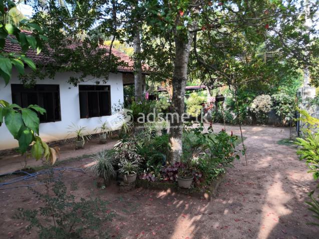 Land with House Sale in Sandalankawa