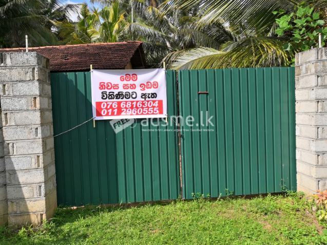 Land with House Sale in Sandalankawa