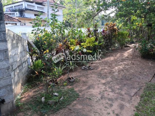 Land with House Sale in Sandalankawa