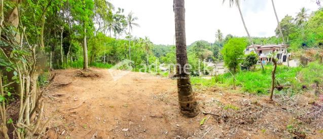 land for sale in ampitiya