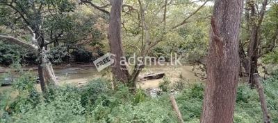 Holiday Bungalow with Land for Sale in Kataragama