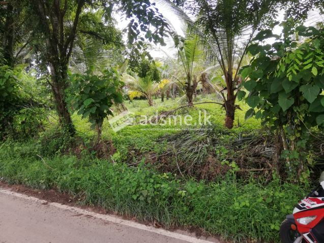 100 Perch Land For Sale
