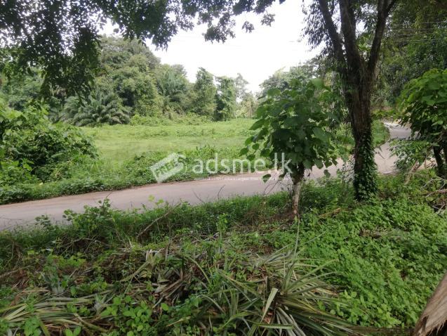 100 Perch Land For Sale