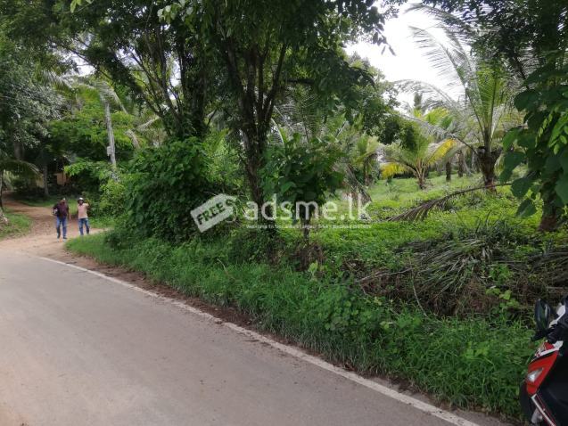 100 Perch Land For Sale