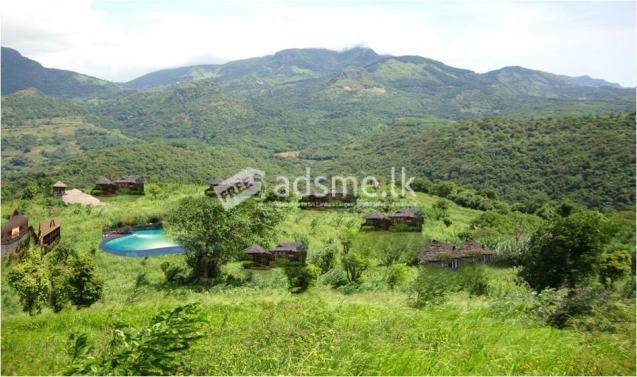 Land for sale Madugalle with 510 perches