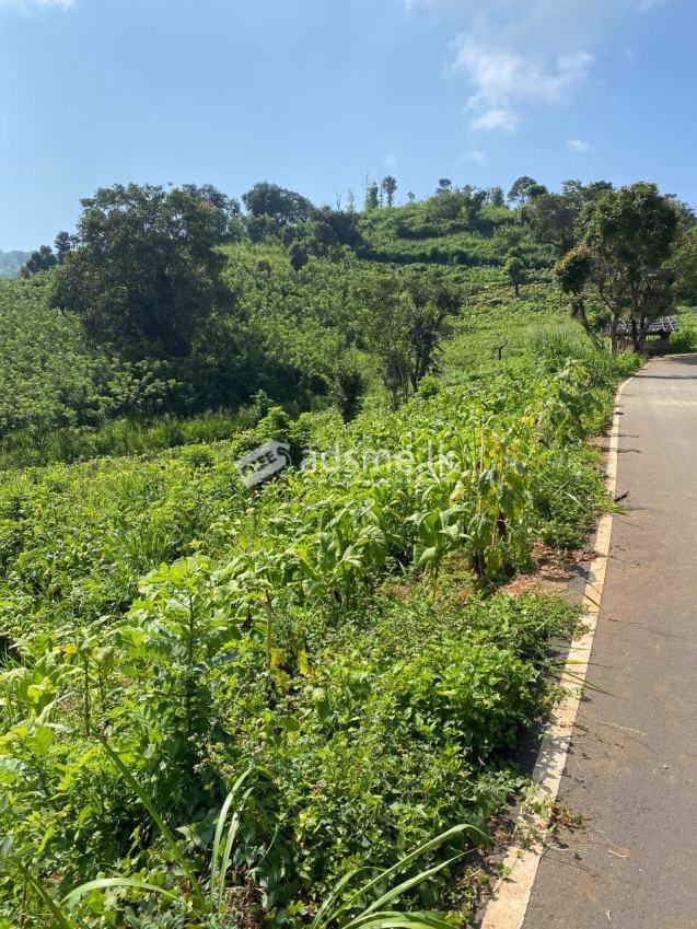 Land for sale Madugalle with 510 perches
