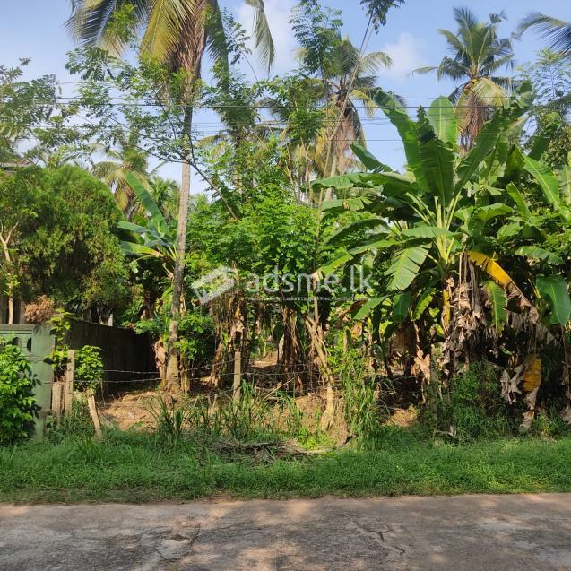 10 Perches Bare Land for Sale in Kanduboda, Delgoda
