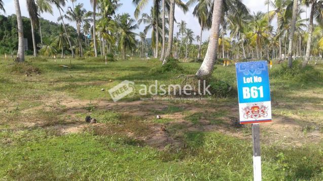 Land for Sale in Kurunegala Narammala