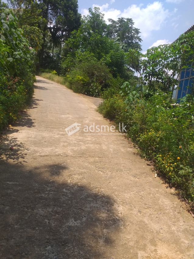 House for sale with tea estate