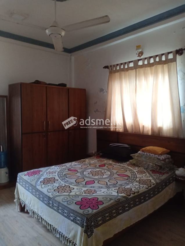 House for rent in dehiwala (IM-162)
