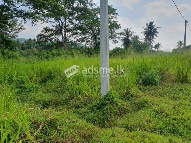 ගිරිඋල්ල ,කුඩගම්මන