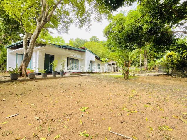 මහානාම ජාතික පාසලට නුදුරින් ප්රධාන පාරට ආසන්නව පිරිසිදු සින්නක්කර ඔප්පු සහිත ඉඩම