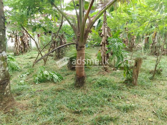 Residential land for sale