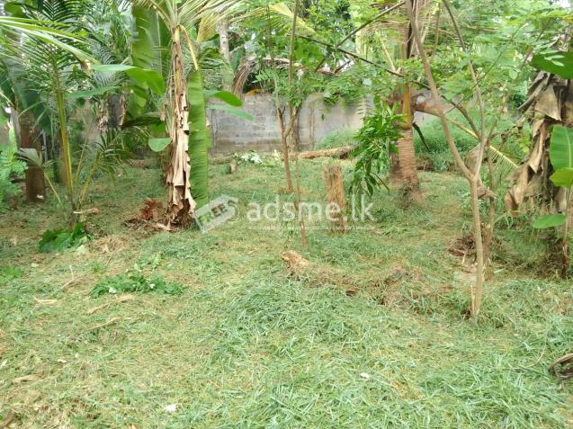 Residential land for sale