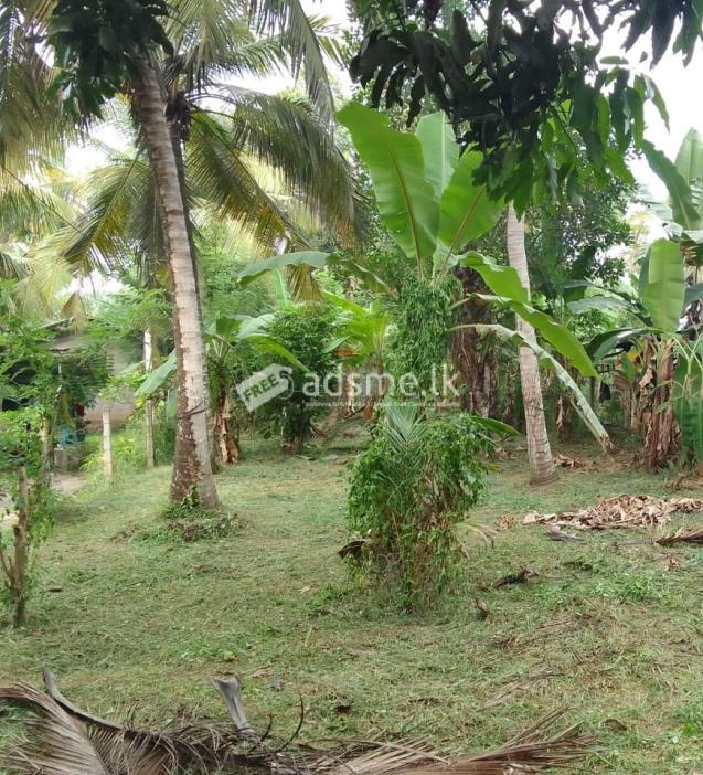 Residential land for sale