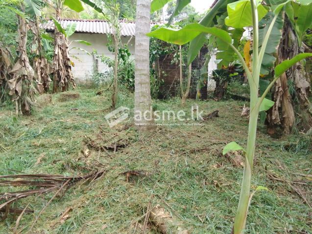 Residential land for sale