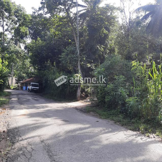 Land for Sale Mawanella