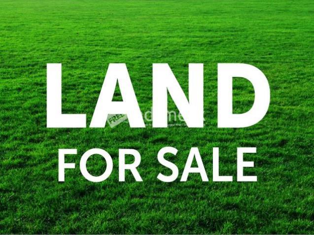 Prime Land for Sale - Nittambuwa | නිට්ටඹුව නුවර පාර අද්දර  වටිනා බිම් කොටසක්