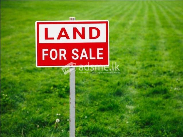 Kurunegala House for Sale | කුරුණෑගල නගරය ළඟම වැවගෙදර පාරේ ඉඩමක් වහාම විකිණීමට