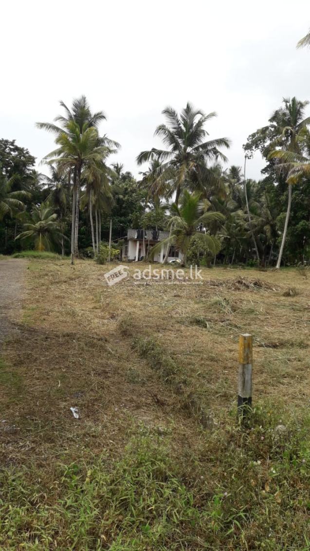 Lands for sale in Divulapitiya