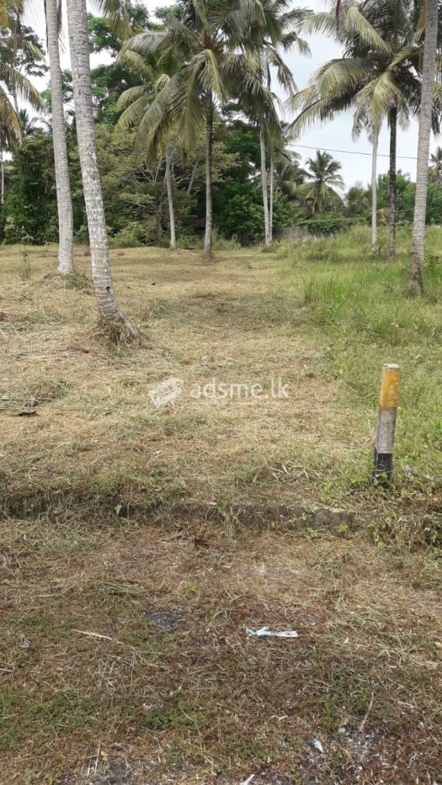 Lands for sale in Divulapitiya