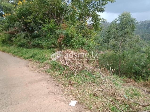 Land for Urgent Sale in Welimada