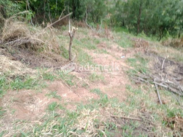 Land for Urgent Sale in Welimada