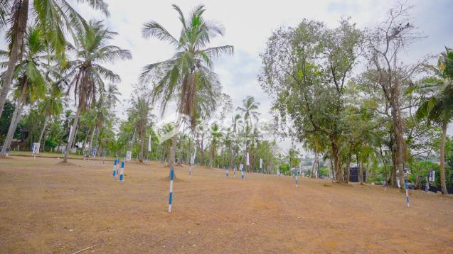 Lands in Raddolugama