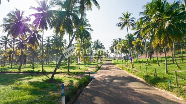 Land for sale in Narammala